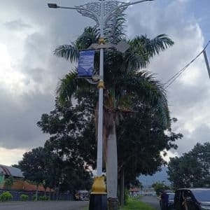 tiang pju bogor
